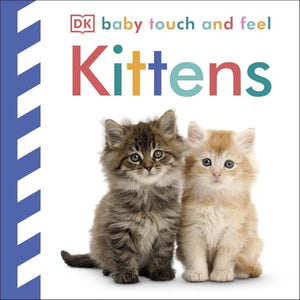 Baby Touch and Feel Kittens 