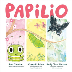 Papilio 