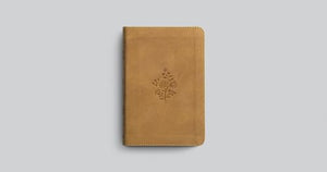 ESV Compact Bible 