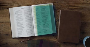 ESV Holy Bible 