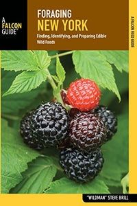 Foraging New York 