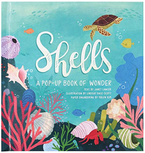 Shells 