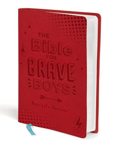 The Bible for Brave Boys 