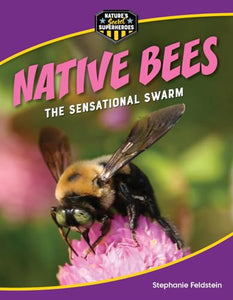Native Bees 