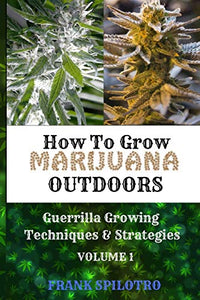 How to Grow Marijuana Outdoors 