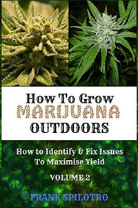 How to Grow Marijuana Outdoors 