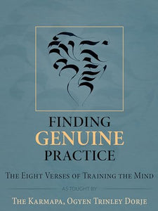 Finding Genuine Practice 