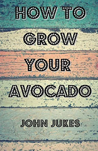 How to Grow Your Avocado 