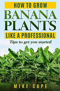 How to grow Banana Plants like a Professional 