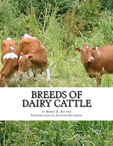 Breeds of Dairy Cattle 