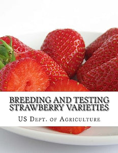 Breeding and Testing Strawberry Varieties 