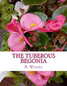 The Tuberous Begonia 