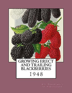 Growing Erect and Trailing Blackberries 