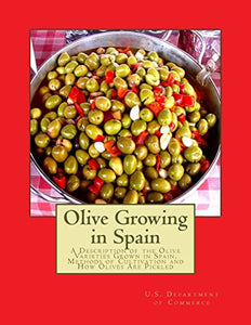Olive Growing in Spain 