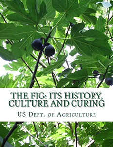 The Fig 