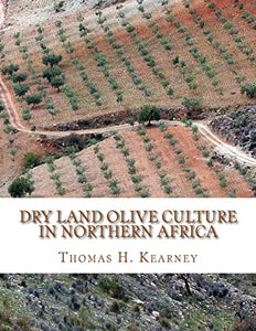 Dry Land Olive Culture In Northern Africa 