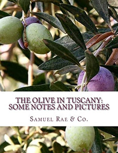 The Olive In Tuscany 