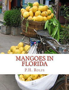 Mangoes in Florida 