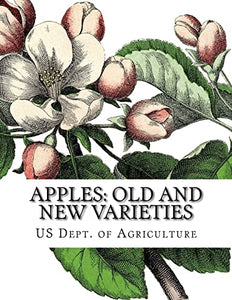 Apples 