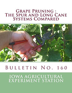 Grape Pruning 