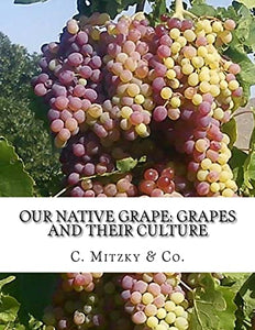 Our Native Grape 