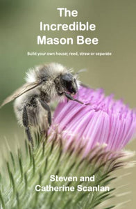 Incredible Mason Bee 