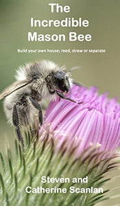 The Incredible Mason Bee 