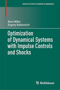 Optimization of Dynamical Systems with Impulse Controls and Shocks 