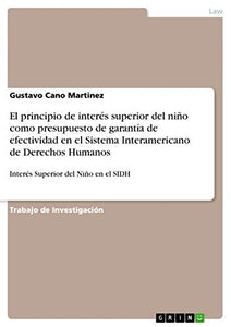 El principio de interes superior del nino como presupuesto de garantia de efectividad en el Sistema Interamericano de Derechos Humanos 
