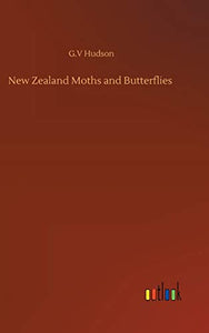 New Zealand Moths and Butterflies 