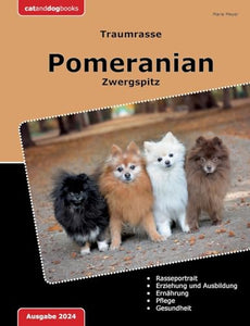 Traumrasse Pomeranian 
