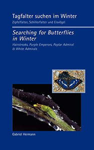 Tagfalter suchen im Winter / Searching for Butterflies in Winter 