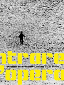 Entrare nell'opera 
