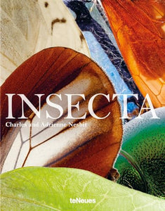 Insecta 