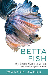 Betta Fish 