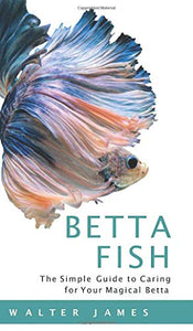 Betta Fish 