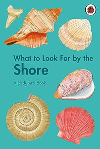 What to Look For by the Shore 
