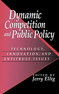 Dynamic Competition and Public Policy 