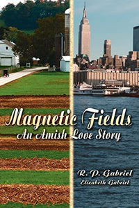 Magnetic Fields 