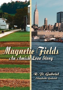 Magnetic Fields 