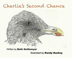 Charlie's Second Chance 