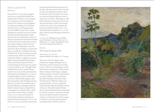 French Paintings 15001900 