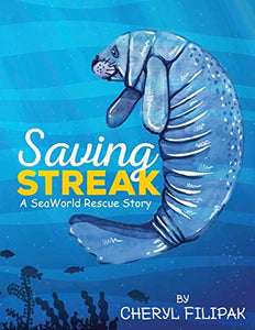 Saving Streak 