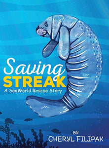 Saving Streak 