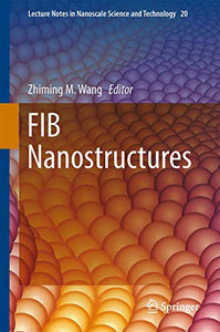 FIB Nanostructures 