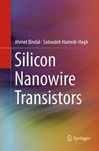 Silicon Nanowire Transistors 