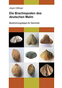 Die Brachiopoden des deutschen Malm 
