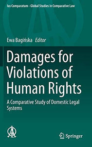 Damages for Violations of Human Rights 